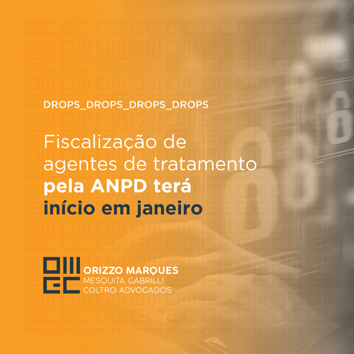 Fiscalização de agentes de tratamento pela ANPD terá início em janeiro ...